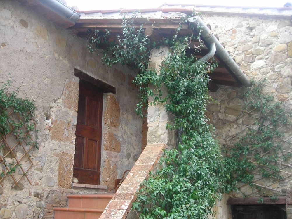 Agriturismo Le Spighe Proceno Exterior foto
